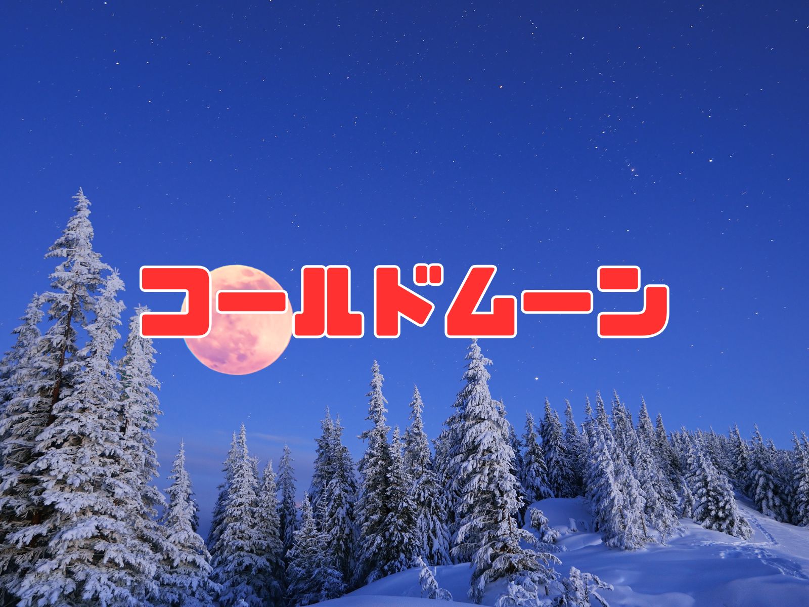 コールドムーン