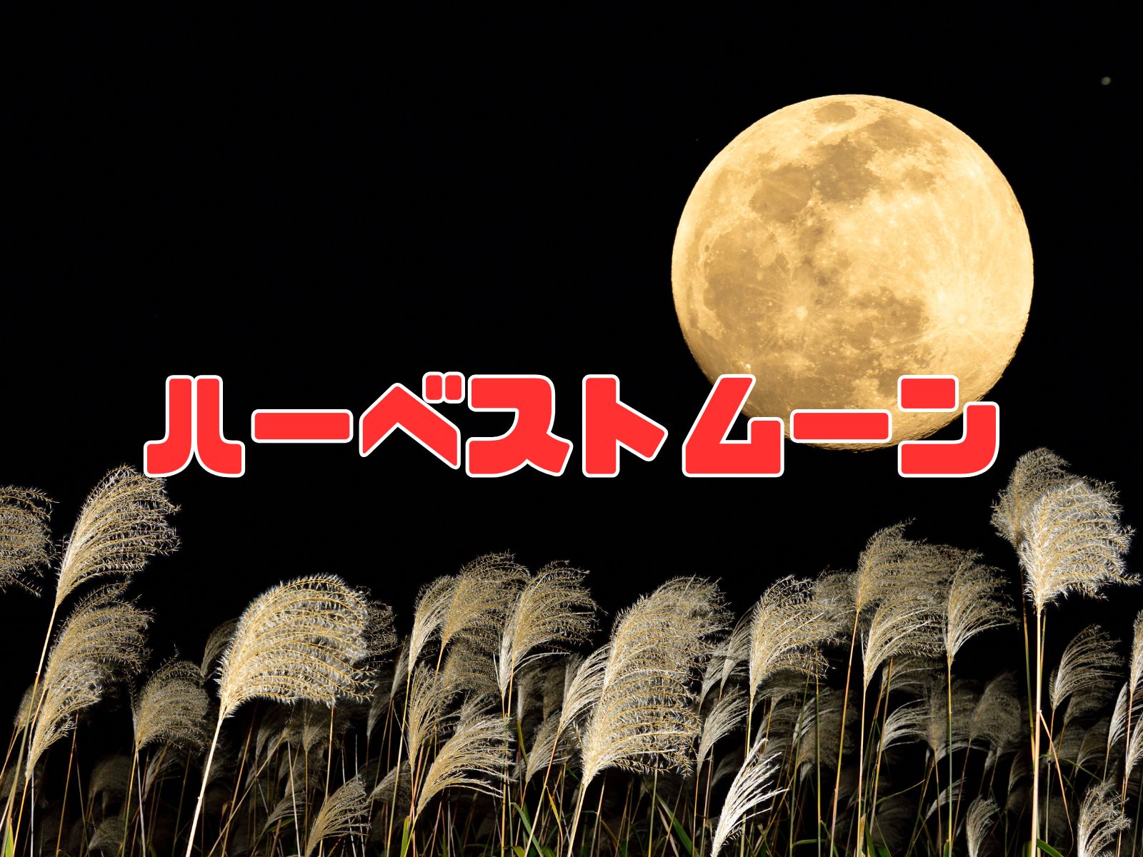 ハーベストムーン