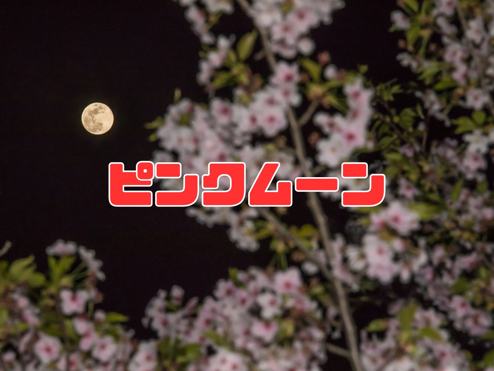 ピンクムーン